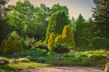 Scenic view of the park in the center of the big city in the summer. With a lagoon in the middle and green trees. In the atmosphere of evening light