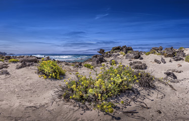 Crete landscape with sunset and yellow flowers