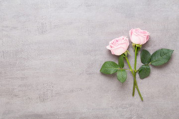 Flowers valentine day composition. Frame made of pink rose on gray background. Flat lay, top view,...