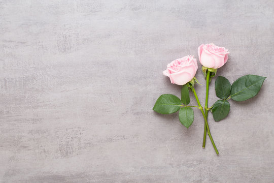 Fototapeta Flowers valentine day composition. Frame made of pink rose on gray background. Flat lay, top view, copy space.