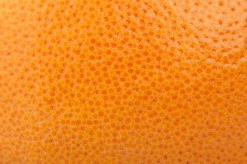 orange texture, fruit background citrus skin