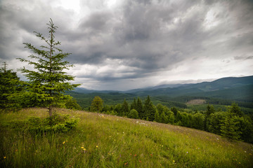 Top of the mountain in the Carpathians
