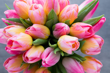 Obraz premium Tulipan, kwiaty na szarym tle.