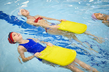 Group of little girls holding kickboard and swimming backstroke in swimming pool during lesson © Seventyfour