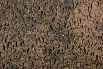 natural stone background