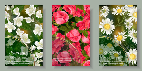 Vector set of herbs jasmine, chamomile, rose for tea package, cards, invitations, natural cosmetics