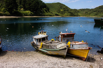 Fototapeta na wymiar Boats in river