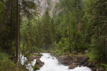 Walk in deep forest of Hallstatt, Austria, Europe
