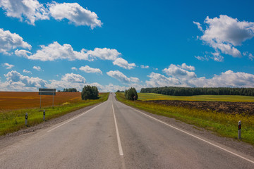 Fototapeta premium Road through green deep forest in Russia