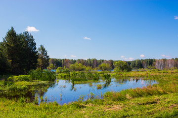 Mysterious forest and lake in field of Russia