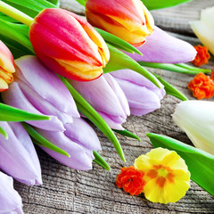Tulips and wooden background