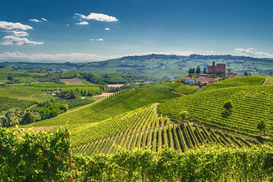 Grinzane Cavour  con vigna In Langa