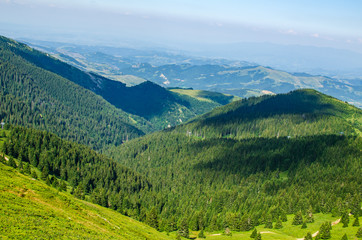 Naklejka na ściany i meble Hills with coniferous forest of a mountain range - Kopaonik, Serbia.