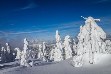 Beautiful scenery of the snowy winter landscape. View from Kubinska hola mountain in Slovakia, Europe. © Viliam