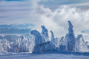 Beautiful scenery of the snowy winter landscape. View from Kubinska hola mountain in Slovakia, Europe. © Viliam
