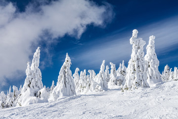 Beautiful scenery of the snowy winter landscape. View from Kubinska hola mountain in Slovakia, Europe.