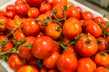 TOMATES PRODUZIDOS NO BRASIL