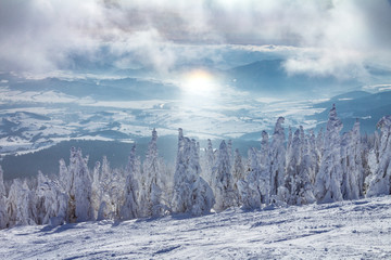 Beautiful scenery of the snowy winter landscape. View from Kubinska hola mountain in Slovakia, Europe. © Viliam