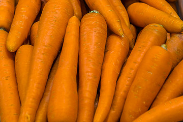 HORTALIÇAS PRODUZIDAS NO BRASIL