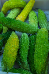 FRUTAS TROPICAIS DO BRASIL