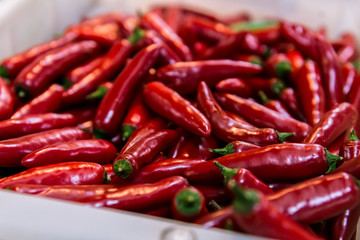 TEMPEROS ESPECIARIAS CULINÁRIA BRASILEIRA