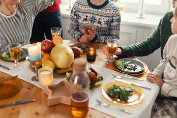 tasty treats for relatives. top view shot. delicious turkey for family