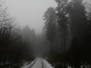 Wanderweg im dichten Nebel des Taunus