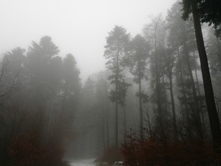 Fototapeta na wymiar Dichter unheimlicher Nebel im Taunus