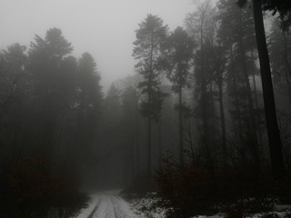 Obraz na płótnie Canvas Wanderweg im dichten Nebel des Taunus