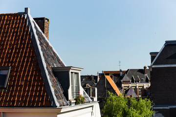 Dutch roof tops in the height of summer.