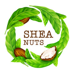 Shea nuts with leaves in vector. Vector shea nuts with shea butter and green leaves in a round border frame isolated on a white.
