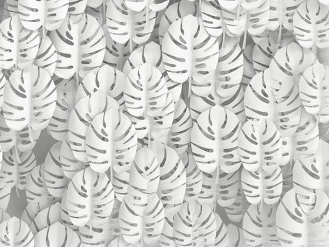 Tropical Monstera leaves, white background. 3D illustration.