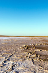 Steppe saline soils. Steppe prairie veldt veld. Saline soils of the desert. Salt lakes