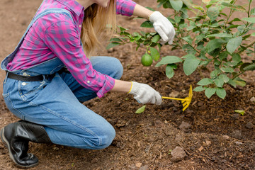 close up cropped photo. active woman weeding the garden. close up side view cropped photo.
