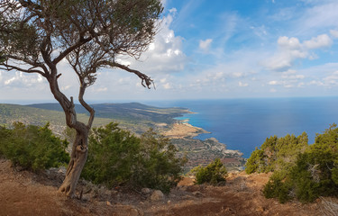 Bays and blue lagoon seen from Aphrodite trail, Akamas peninsula, Cyprus - obrazy, fototapety, plakaty
