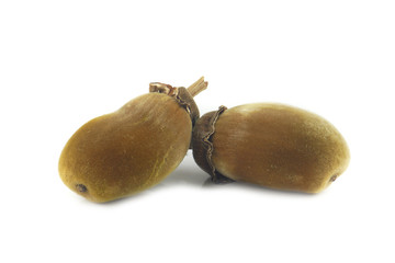 African baobab fruit or Monkey bread on a white background