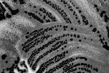 Abstract background white soapy foam texture. Shampoo foam with bubbles