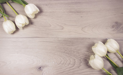 A bouquet of white tulips with a frame for inscription.