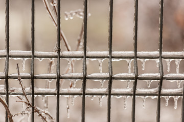 Metal fence covered in a thick layer of ice after a freezing rain
