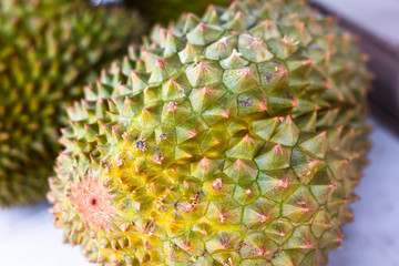 The big jackfruit with peel. Not cut.