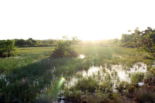 landscape with river