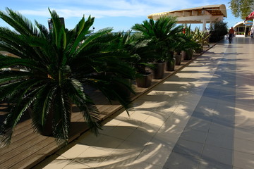 Fototapeta na wymiar view of tropical resort