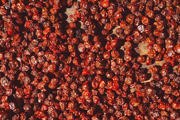 dried berries dry in the sun
