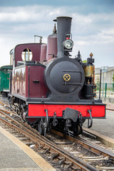 Fototapeta na wymiar Locomotive à vapeur Baie de Somme, Picardie, France 