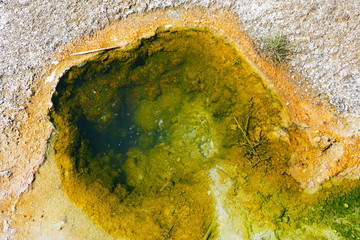 View of a geyser in the Yellowstone Lake in the West Thumb Geyser Basin in Yellowstone National Park, United States