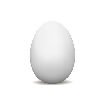 White egg mockup isolated. Vector illustration