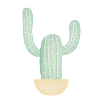 Green cactus in pot isolated on white backgound. Vector illustration.