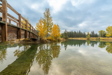 Wooden bridge across cascade pond with yellow pine trees in Banff National park, Alberta, Canada