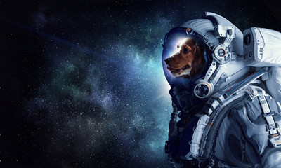 First trip to space. Mixed media