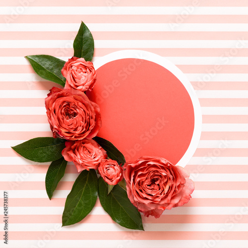 Happy Mother's Day, Women's Day, Valentine's Day or Birthday Living Coral Pantone Color Background. Coral flat lay greeting card with beautiful roses.